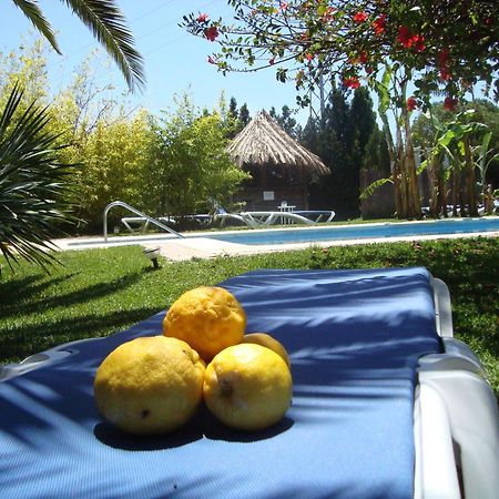Bungalows Puravida Zahora Extérieur photo