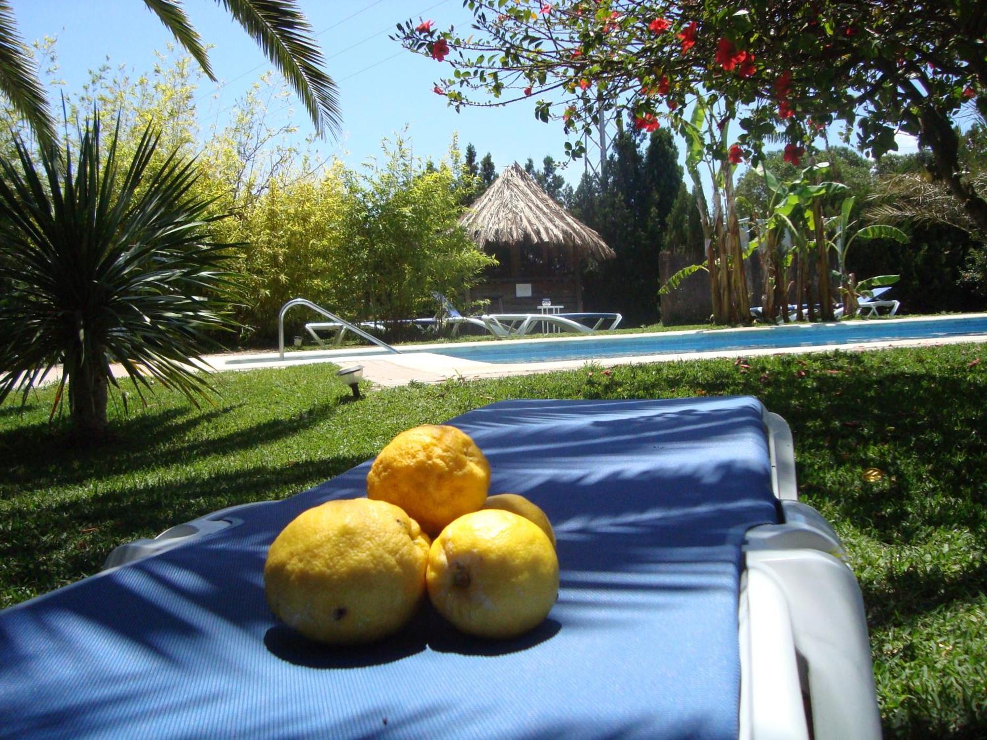 Bungalows Puravida Zahora Extérieur photo